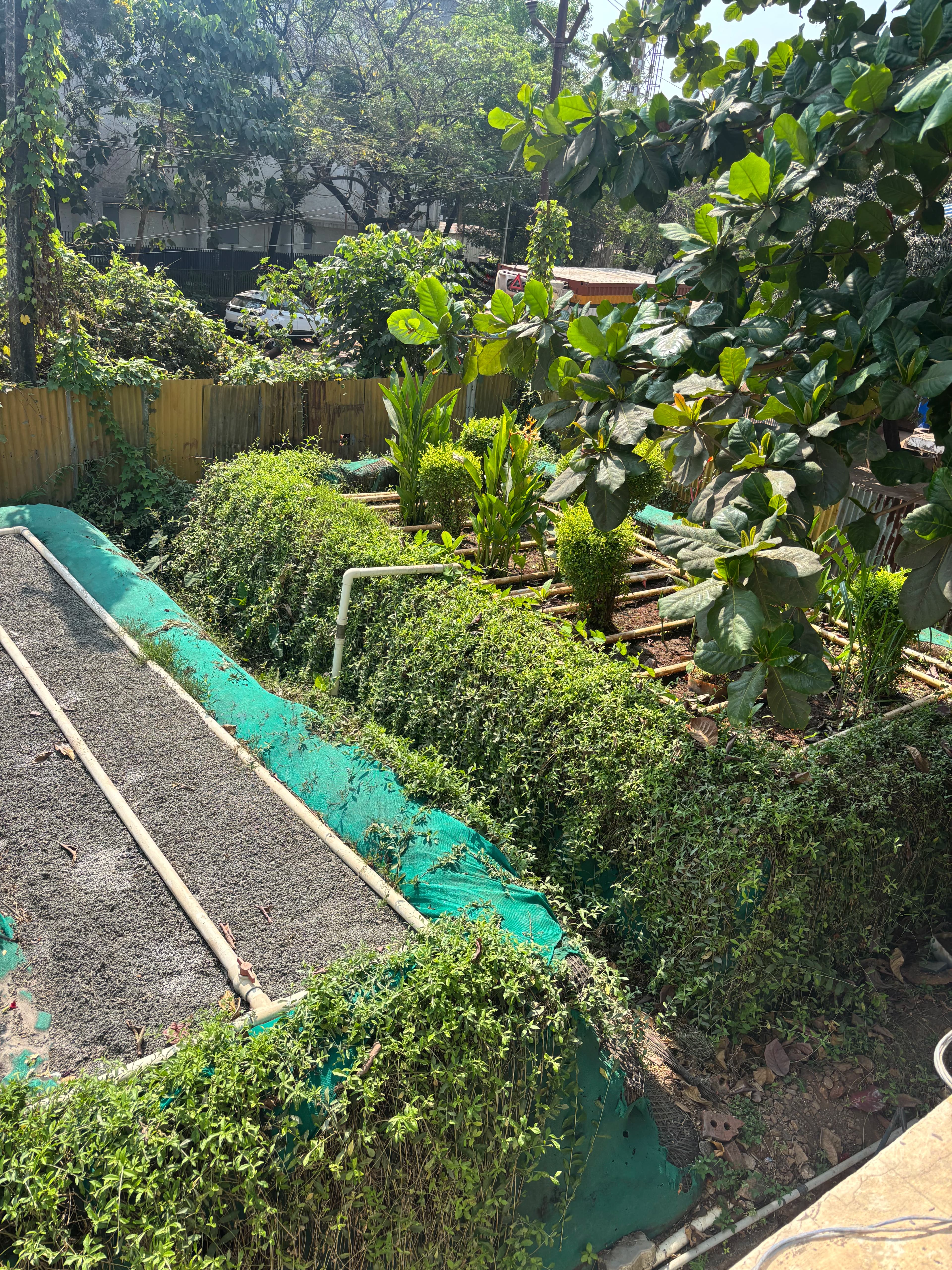 Launderaids natural water treatment plant with vegetation beds